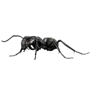 [입고완료]반다이 생물 대도감 개미 2번 쿠로오오아리